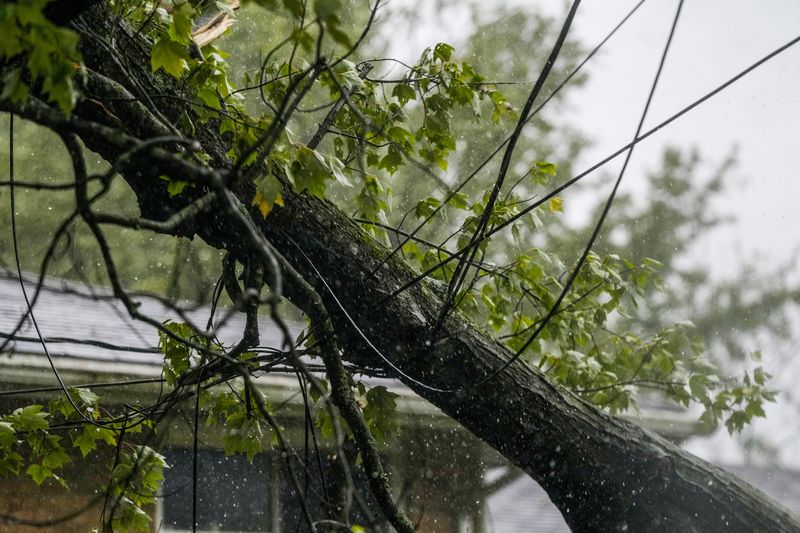 Duke Energy, a major electrical utility supplier for Ohio and Kentucky, has the ability to trim or cut down trees affecting power lines.