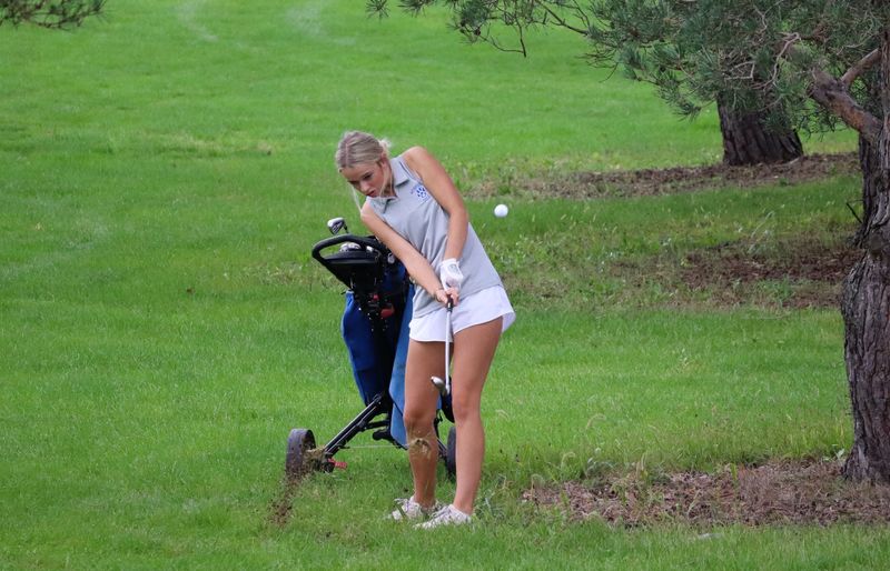 Wynford's Willa Johnson punches out of the rough on the 5th hole at Sycamore Springs in the Division II district golf tournament.
