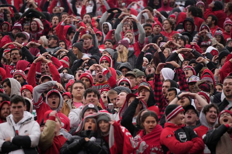 Ohio State Buckeyes fans cheer during the NCAA football game against the Indiana Hoosiers at Ohio Stadium in Columbus on Monday, Nov. 25, 2024. Ohio State won 38-15.