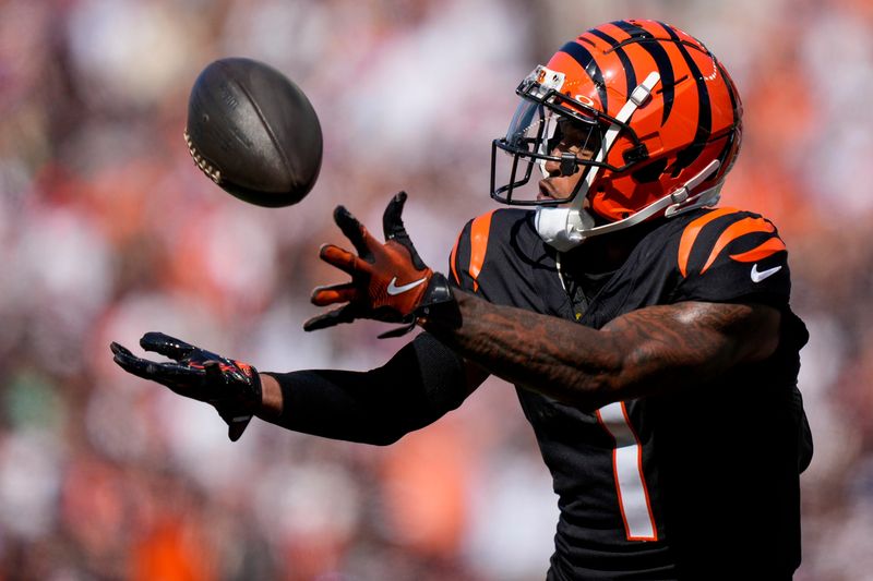 The Cincinnati Bengals and Baltimore Ravens are slated to face off in a prime-time matchup on Thanksgiving Day, Nov. 27.