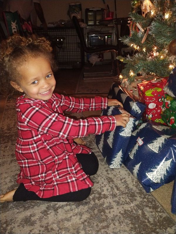 Two dogs attacked and killed Kingsley Wright, 3, while she was staying at her father's home on Dec. 27, 2024