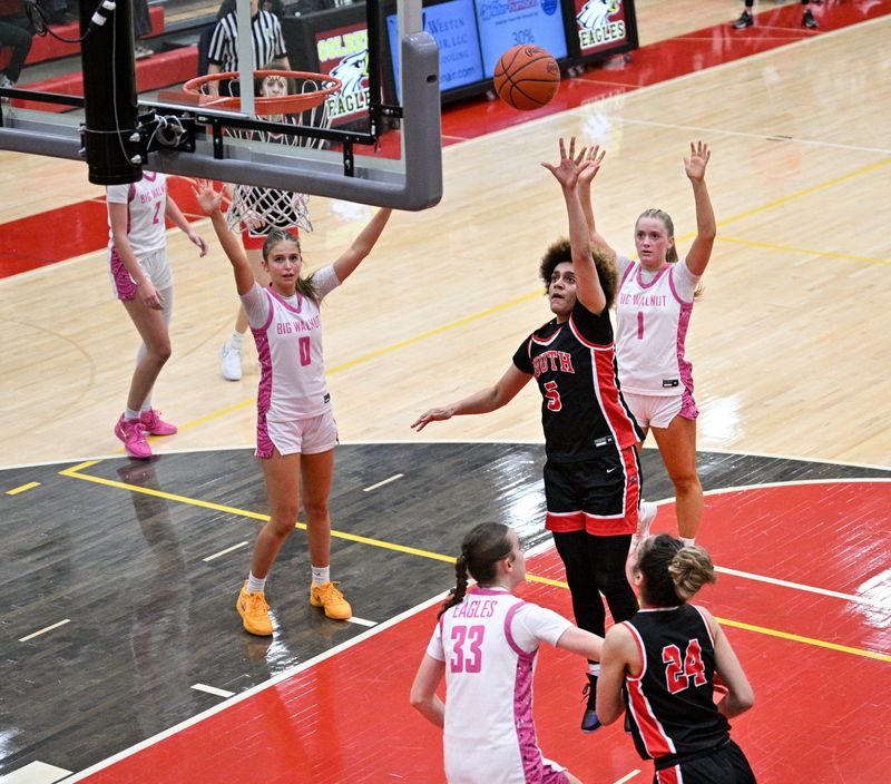 Ariyana Cradle, a second-team all-state selection for Westerville South last winter, will play her senior season at SPIRE Academy in Geneva.