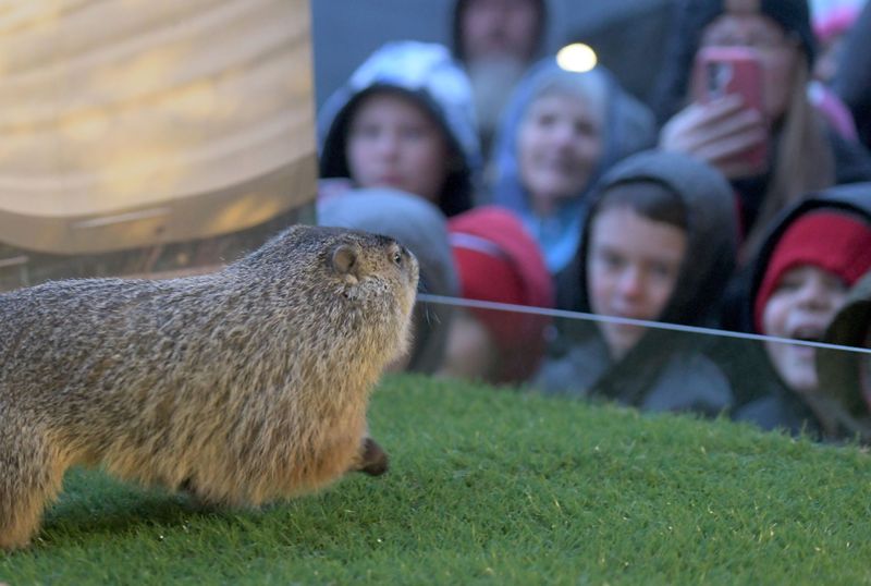 The crowd cheered at the Marion Fairgrounds in Marion as Buckeye Chuck, the prognosticating groundhog, predicted an early 2025 spring by not seeing his shadow.