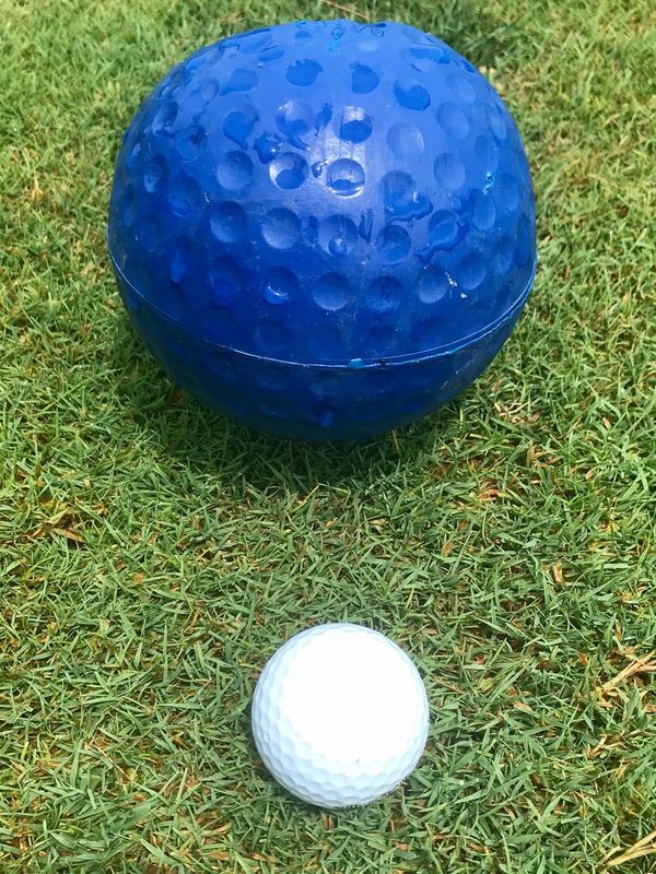 Marion Star Preseason Golfer of the Year Polls