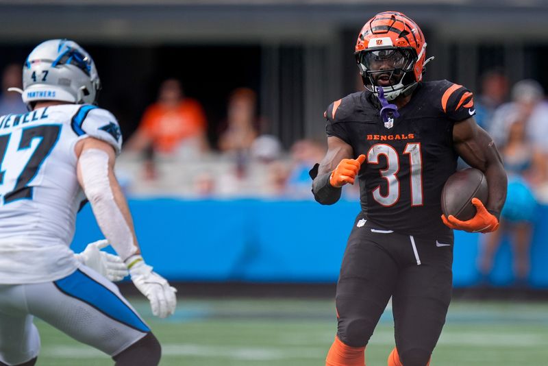 Sep 29, 2024; Charlotte, North Carolina, USA; Cincinnati Bengals running back Zack Moss (31) looks to elude Carolina Panthers linebacker Josey Jewell (47) during the third quarter at Bank of America Stadium. Mandatory Credit: Jim Dedmon-Imagn Images