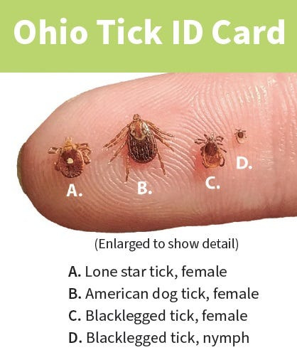 Ohio's most common tick types.