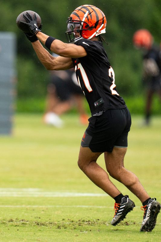 Cincinnati Bengals halfback Zack Moss (31) catches a pass during the Cincinnati Bengals practice in Cincinnati on Tuesday, May 27, 2025.