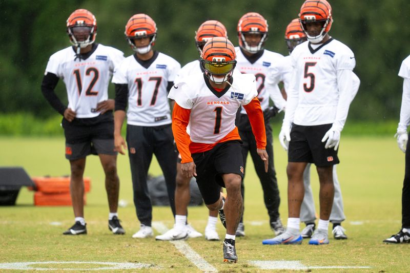 Cincinnati Bengals wide receiver Ja'Marr Chase (1) runs a route during the Cincinnati Bengals practice in Cincinnati on Tuesday, May 27, 2025.