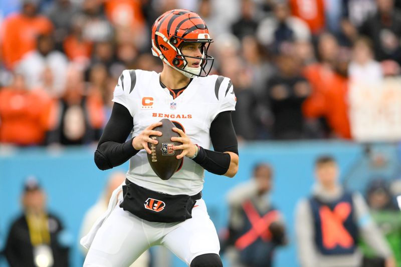 Dec 15, 2024; Nashville, Tennessee, USA; Cincinnati Bengals quarterback Joe Burrow (9) stands in the pocket against the Tennessee Titans at Nissan Stadium. Mandatory Credit: Steve Roberts-Imagn Images