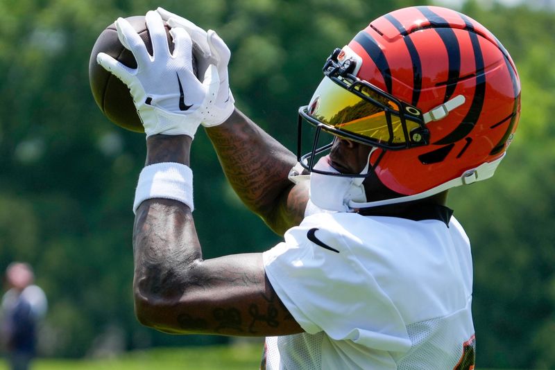 Cincinnati Bengals wide receiver Tee Higgins (5) catches a pass during a session of organized team activities on the Bengals practice field at Paycor Stadium in downtown Cincinnati on Tuesday, June 3, 2025.