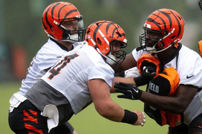 Cincinnati Bengals center Ted Karras (64) and Cincinnati Bengals guard Dylan Fairchild (63) practice blocking Cincinnati Bengals offensive tackle Jalen Rivers (74) during the Cincinnati Bengals practice in Cincinnati on Tuesday, May 27, 2025.