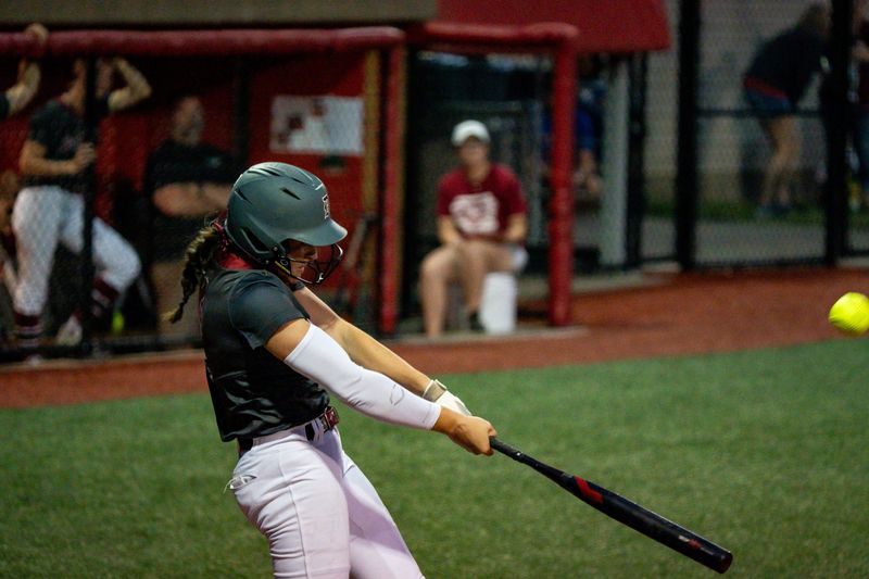 Jenna Molk (4) of the Dover Tornadoes opens the team’s half of the first inning with a solo homer on the first pitch during an OHSAA DIII State Softball Tournament Championship game against the Holland Springfield Blue Devils, June 7, 2025, in Akron, OH.
