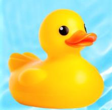 Join the fun at the Wacky Quacky Duck Derby on Tuesday at Crissey Memorial Pool in Millersburg.