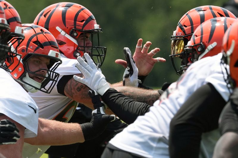 Jun 10, 2025; Cincinnati, OH, USA; Cincinnati Bengals center Ted Karras (64) (third from left) blocks alongside Cincinnati Bengals center Seth McLaughlin (68) (center) against the defensive line at Paycor Stadium. Mandatory Credit: Kareem Elgazzar-Imagn Images
