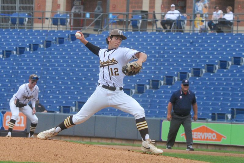 Waynedale's Shane Coblentz pitches against Coldwater in a Division V state semifinal.