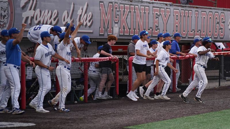 The Springboro Panthers spill out of the dugout after the final out of their 5-1 Division I state semifinal win over Perrysburg on June 14, 2025 at Canton's Thurman Munson Memorial Stadium.