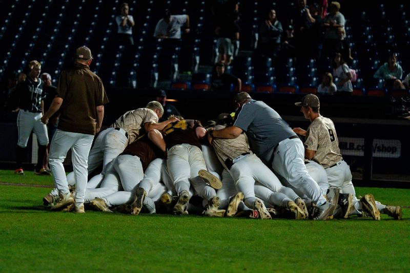 The Waynedale Golden Bears celebrate their defeat of Graham Local in an OHSAA DV State Baseball Tournament Championship game, at Canal Park, in Akron, OH, June 15, 2025.