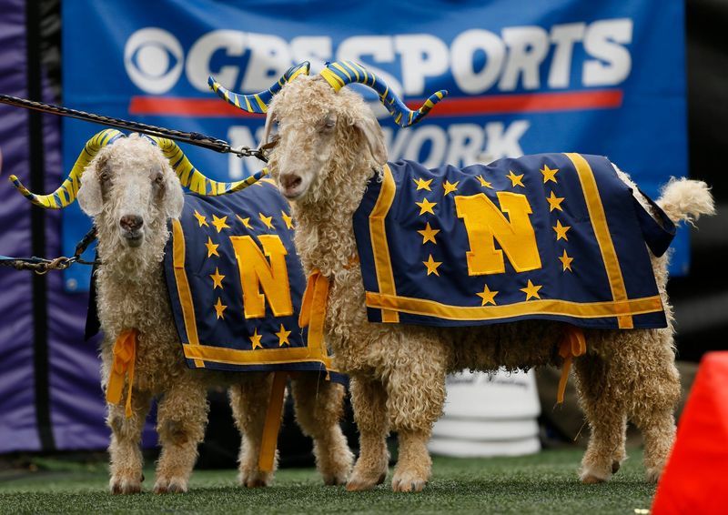 Navy had two goat mascots on the sideline during their Aug. 30, 2014, game against Ohio State.