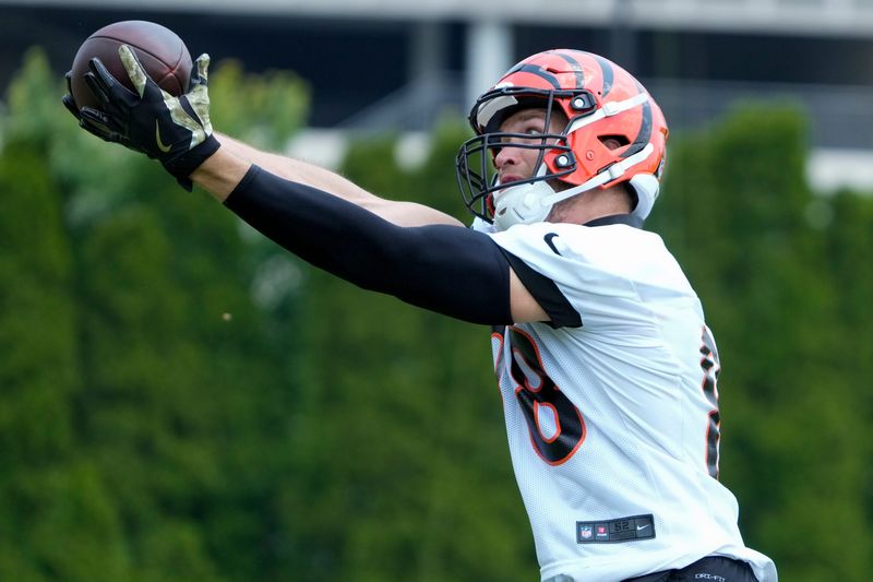 Cincinnati Bengals tight end Mike Gesicki (88) catches a pass during a session of organized team activities on the Bengals practice field at Paycor Stadium in downtown Cincinnati on Tuesday, June 3, 2025.