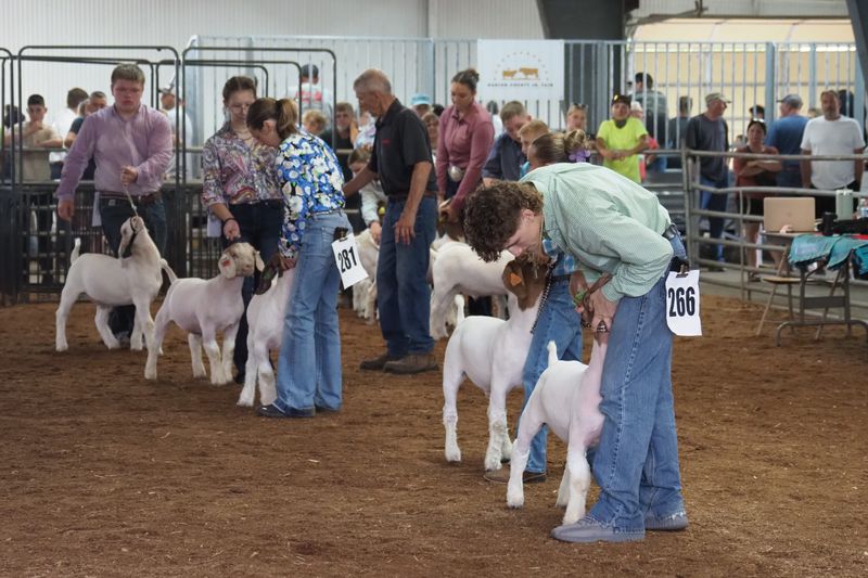 Jacob Isler, 18, showed the middleweight market goat reserve champion on Monday, June 30.