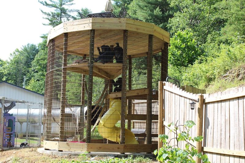 A state audit found that former Vinton Township fiscal officer Cy Viestra misused more than $300,000 in public money to purchase a wildebeest, two owls, a snow cone machine and other items for his residence and roadside zoo.