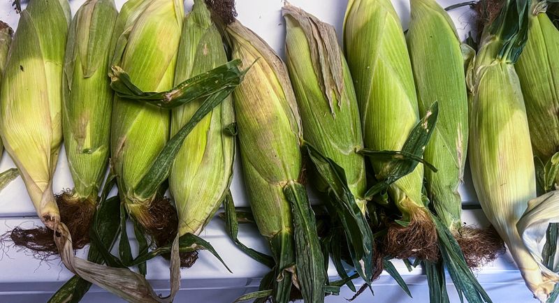 People buy a variety of home grown vegetables, fruit, crafts, foods, including corn while still in season at the Anderson County Farmer’s Market in Anderson, S.C. Saturday July 12, 2025.