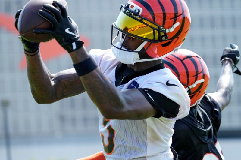 Cincinnati Bengals wide receiver Tee Higgins (5) catches a pass during the second day of preseason training camp in downtown Cincinnati on Thursday, July 24, 2025.