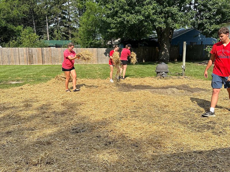 A lawn is being reseeded by volunteers during Restoration Weekend in Marion.