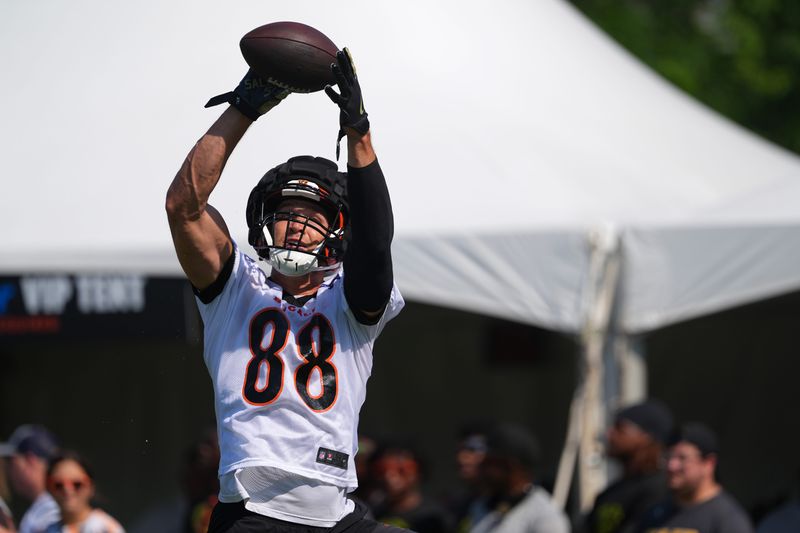Cincinnati Bengals tight end Mike Gesicki