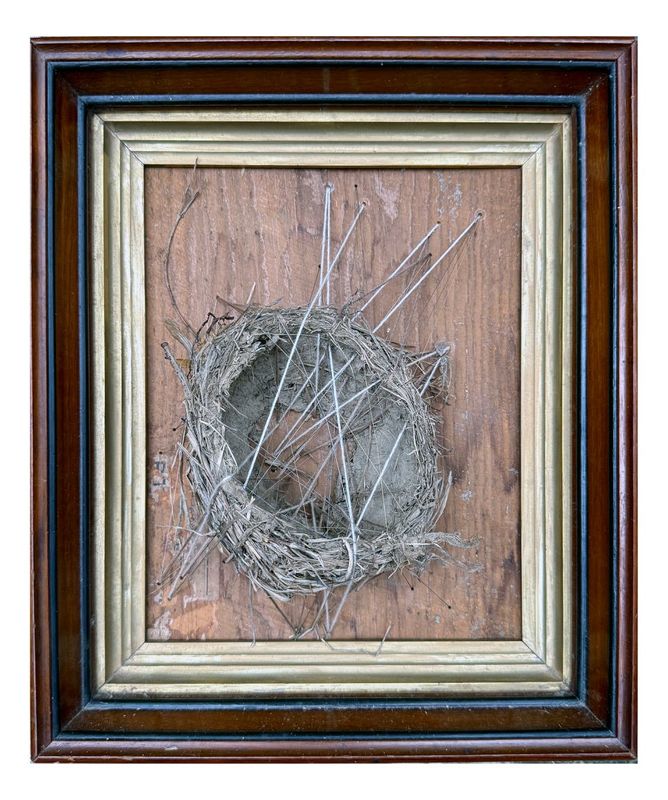 Greg Martin, Drought's Heir, 2025, Found bird's nest, embroidery twine, thread, vintage frame.