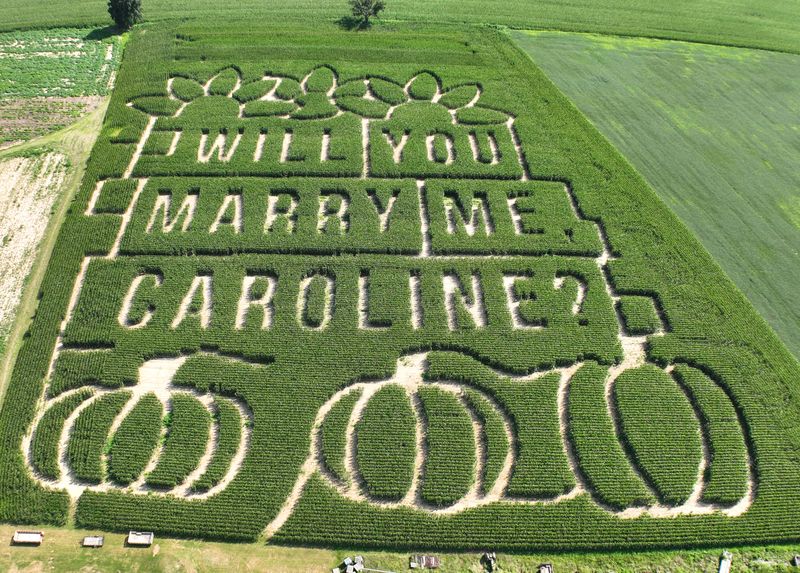 When Timothy Sullivan proposed to Caroline Liggett, he decided to do it in a big way: across 13 acres of his family’s Circle S Farm near Grove City, Ohio. In mid-April he plugged a design into a computer program that told his planter exactly where to drop corn seeds, and in July he arranged an airplane ride for Caroline over the field. It took two passes, but she eventually noticed the proposal. And the best part? She said yes.