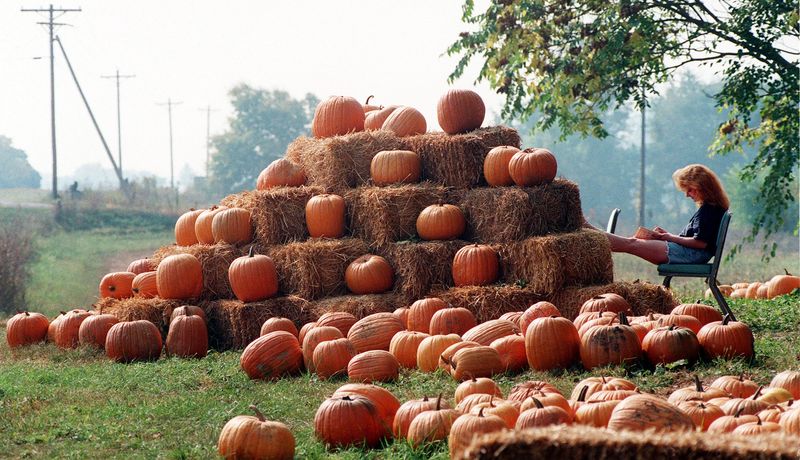 autumn -- fall -- Patti Long works on a crossword puzzle as she waits for customers at a pumpkin stand at a farm on Rt. 23 near Lockbourne on October 8, 1997. Long rents a house at the farm and tends the pumpkin stand for the landlord.