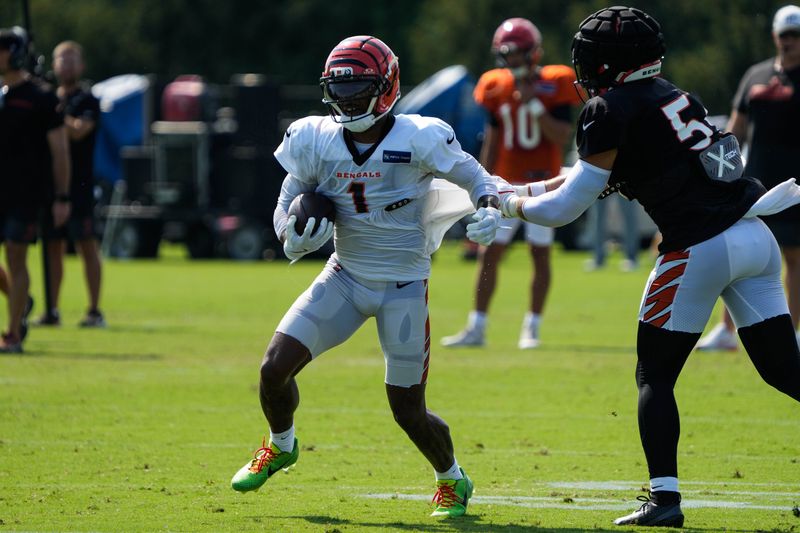 Bengals Ja'Marr Chase (1) runs drills during their Training Camp on Friday August 15, 2025.