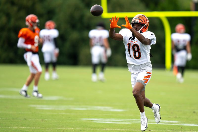 Cincinnati Bengals wide receiver Isaiah Williams