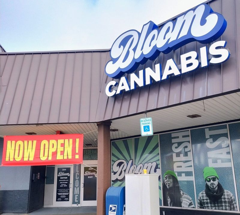 Bloom cannabis became the first marijuana sales operator to open in Massillon. The business opened its doors Aug. 22 at 254 Federal Ave. NW in the former Fat Daddy's meat shop.