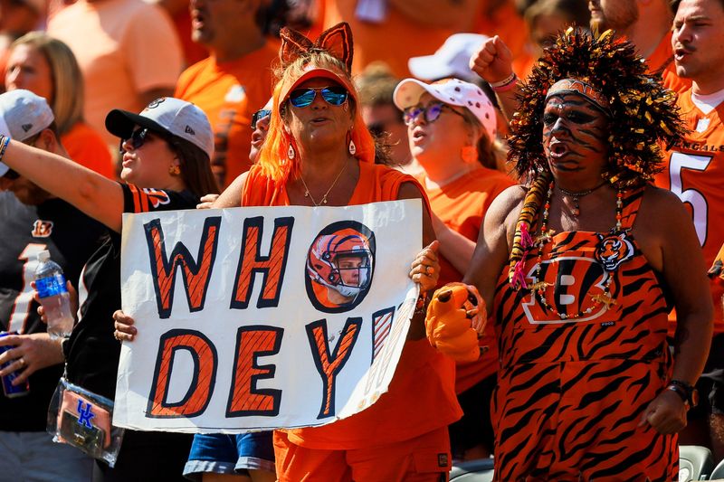Sep 14, 2025; Cincinnati, Ohio, USA; Cincinnati Bengals fans cheer during the second half in the game against the Jacksonville Jaguars at Paycor Stadium. Mandatory Credit: Katie Stratman-Imagn Images