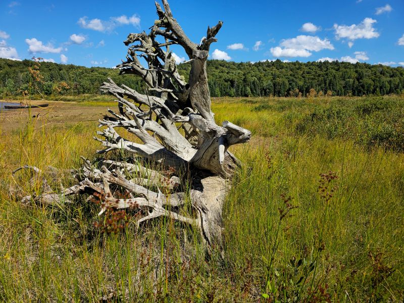 Our canoe awaits further adventures on the beach (left) at a floodplain in Algonquin Provincial Park's Ragged Lake, where my friends and I met the daughter-in-law of Esther S. Keyser, the park's first female guide and author of an autobiography detailing her life in the park.