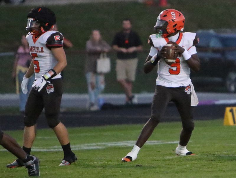 Mansfield Senior's Sean Tanner helped the Tygers pick up their first win on Friday night over Wooster.