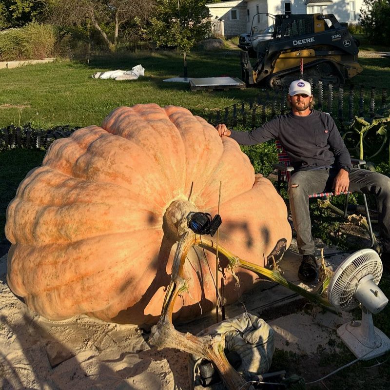 Jared Persinger breaks state record with 2,505-pound pumpkin.