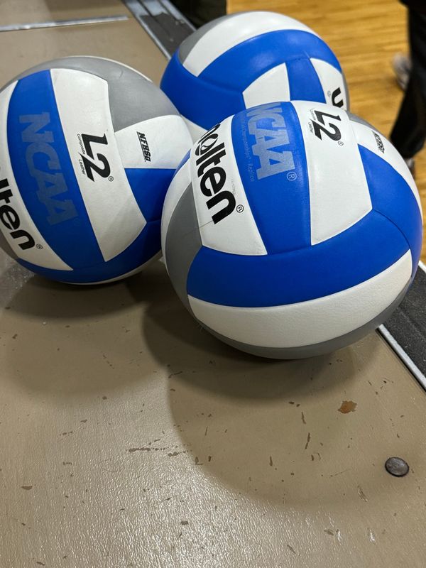 Volleyball stock art
