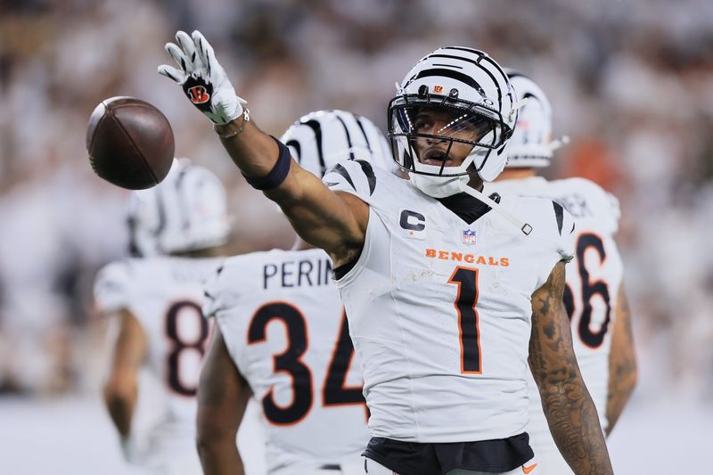 Oct 16, 2025; Cincinnati, Ohio, USA; Cincinnati Bengals wide receiver Ja'Marr Chase (1) reacts after catching a pass against the Pittsburgh Steelers during the second quarter at Paycor Stadium. Mandatory Credit: Katie Stratman-Imagn Images