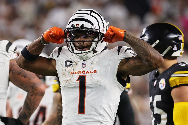 Oct 16, 2025; Cincinnati, Ohio, USA; Cincinnati Bengals wide receiver Ja'Marr Chase (1) reacts after making a first down against the Pittsburgh Steelers during the third quarter at Paycor Stadium. Mandatory Credit: Joseph Maiorana-Imagn Images