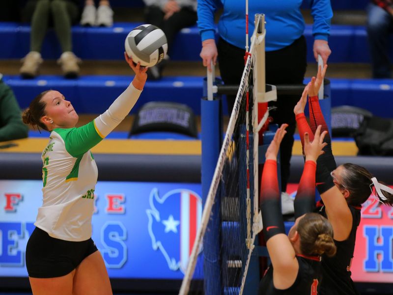 Newark Catholic's Natalie Harrington has been named to the All-Ohio Division VI second team.