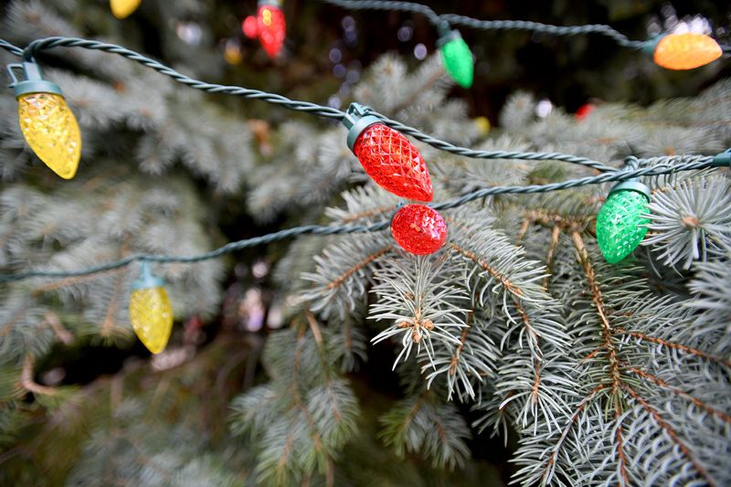 Lights are placed on a Christmas tree in downtown Canton as they prepare for the holiday season.  Monday, November 22, 2021.