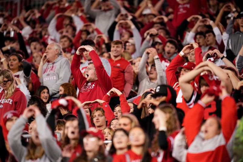Fans cheer during the NCAA football game between the Ohio State Buckeyes and the UCLA Bruins at Ohio Stadium in Columbus on Nov. 15, 2025.