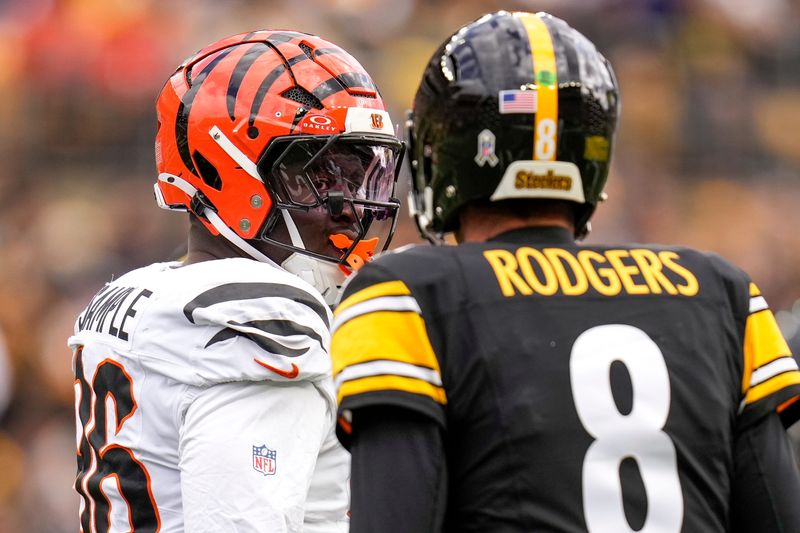 Cincinnati Bengals defensive end Cam Sample and Pittsburgh Steelers quarterback Aaron Rodgers exchange words.