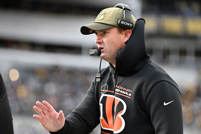 Nov 16, 2025; Pittsburgh, Pennsylvania, USA; Cincinnati Bengals head coach Zac Taylor talks to an official following a play against the Pittsburgh Steelers during the first half at Acrisure Stadium. Mandatory Credit: Barry Reeger-Imagn Images