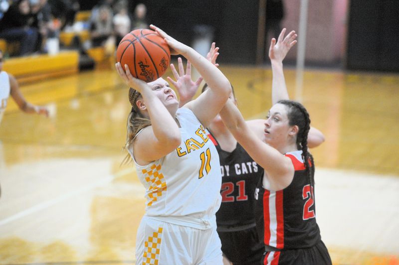 Colonel Crawford's Robin Ehmann puts up a shot around New London's Raeann Mitchell.