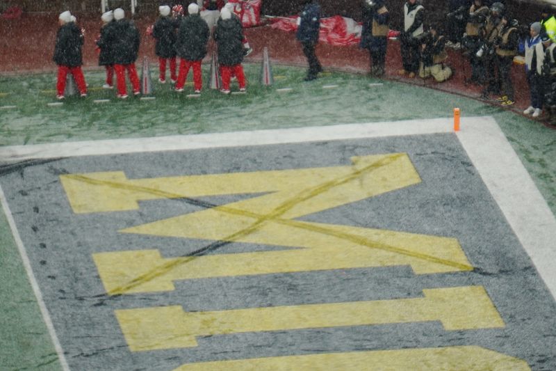 The "M" in Michigan is crossed out in the Michigan Stadium end zone as a result of Ohio State mascot Brutus sneaking onto the field during a break in action on Nov. 29, 2025.