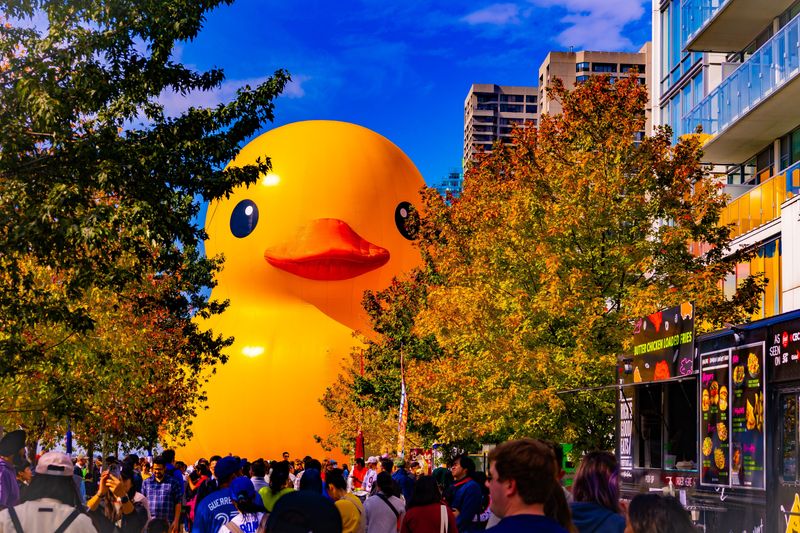 The giant rubber duck will be on display at the Ohio Rubber Duck Dash Festival set to be held in April.